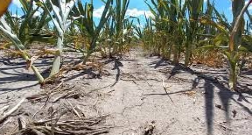 Avanza el pedido de emergencia agropecuaria y resta ahora la aprobaci&oacute;n de Econom&iacute;a