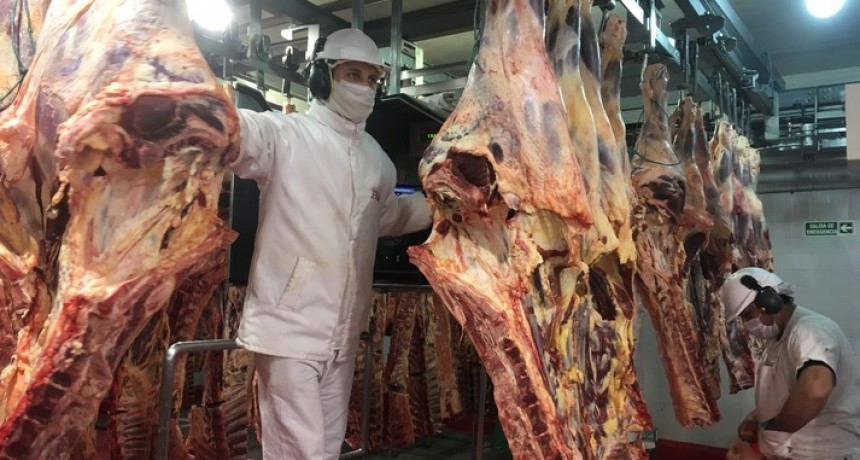 Frigor&iacute;ficos advierten que EEUU recibir&aacute; 80 mil toneladas de carne, pero &ldquo;picada para hamburguesa&rdquo;