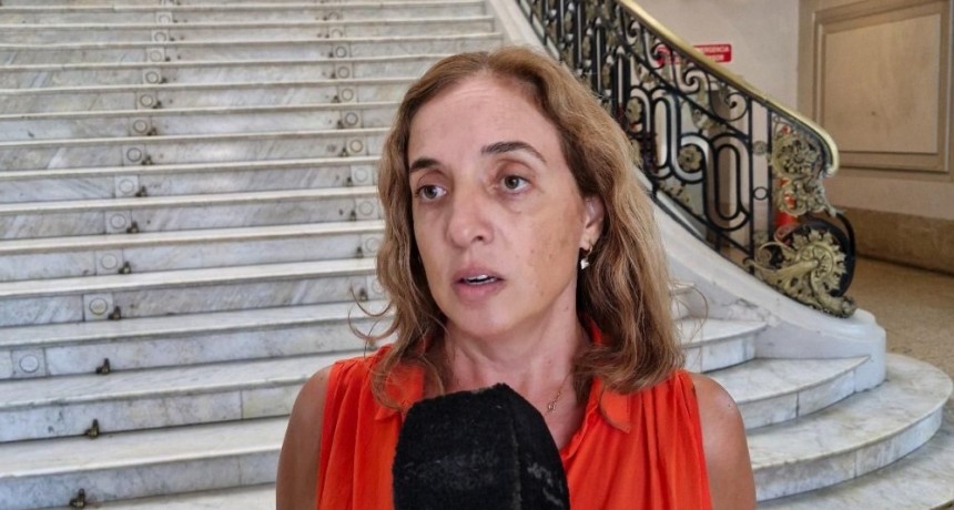 Dengue: desde Salud creen que se aten&uacute;a el ascenso de casos