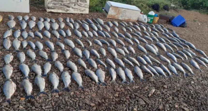 Para la bióloga Vanina Villanova, la última evaluación pesquera avala la medida de prohibir el acopio para exportación